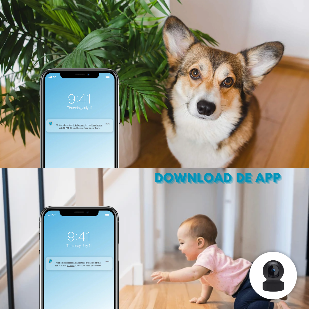 Cameră RoomWatch™