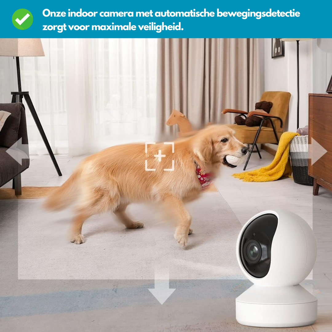 Cameră RoomWatch™