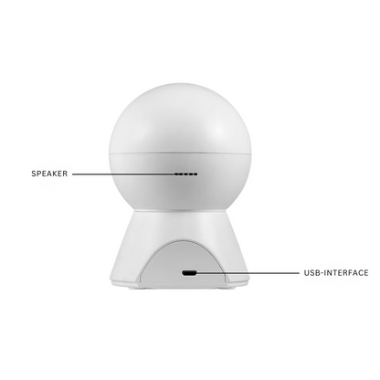 Cameră RoomWatch™
