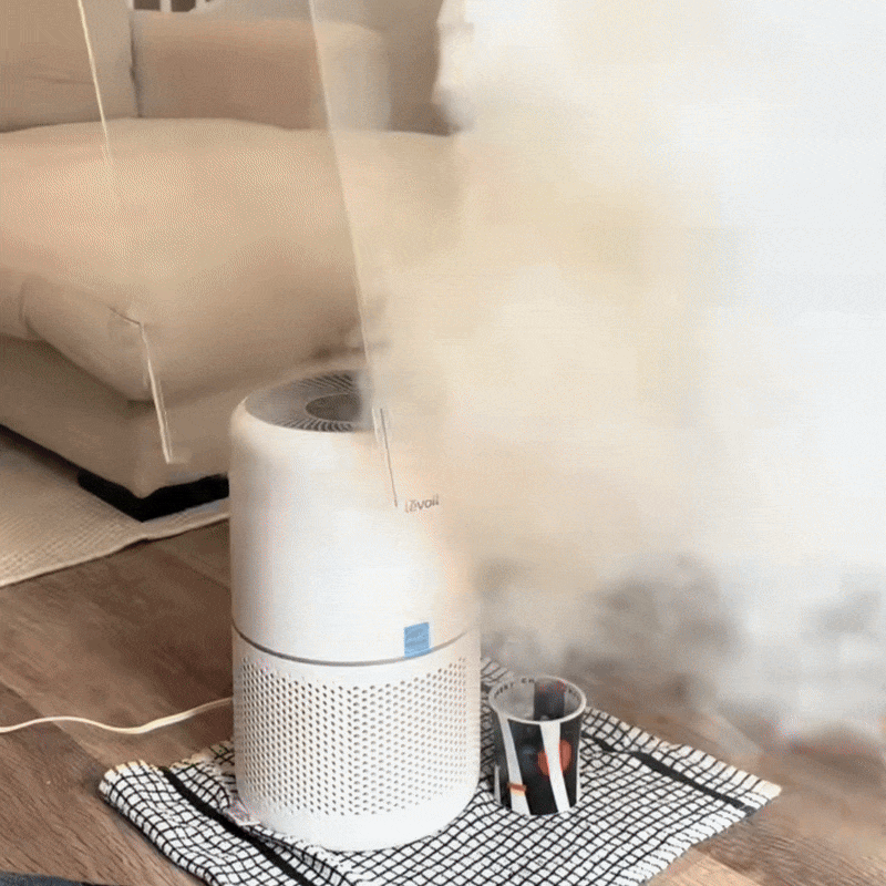Aeriqo™ Air Purifier with HEPA Filter