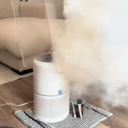 Aeriqo™ Air Purifier with HEPA Filter